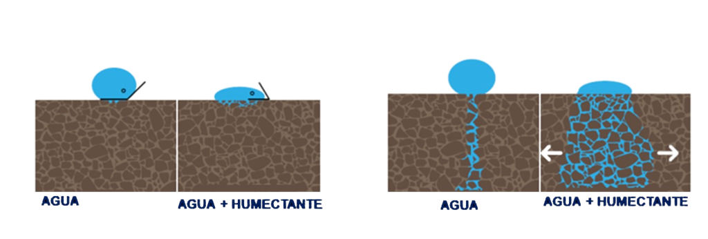 Imagen que contiene agua, tabla, lavabo, alimentos

Descripción generada automáticamente