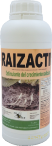 raizactiv