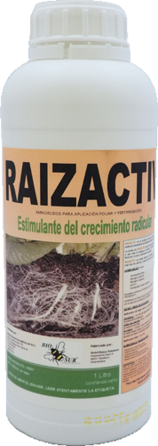 raizactiv