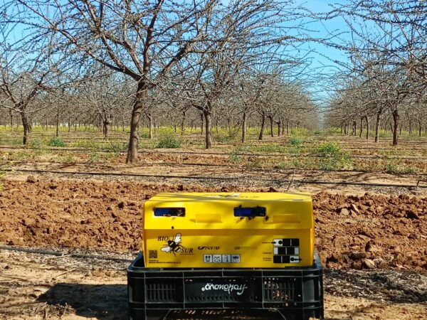 Colmena Biopar en almendro 18.02 (24)